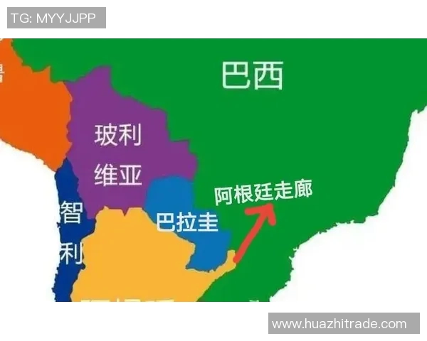 2019年6月28日巴西与巴拉圭激战回顾及精彩瞬间分析