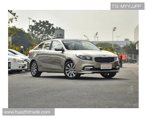 三地开奖直播全解析让你轻松掌握开奖动态与投注技巧