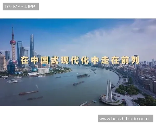 谢什科的传奇旅程与影响力探讨：从历史到现代的深度剖析