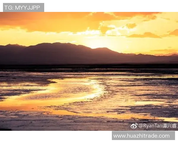 斯托贾科维奇的传奇人生与篮球梦想的追逐之路